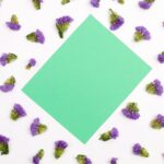 green paper on white surface